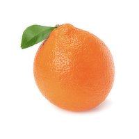 Minneola Tangelo, 1 Each