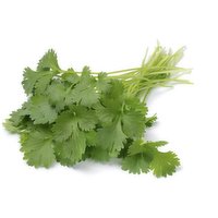  Cilantro Bunched, 1 Each