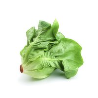  Boston Lettuce, 1 Each