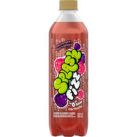 Splash Sparkling Beverage, Raspberry & Blackberry Flavor, 20 Fluid ounce