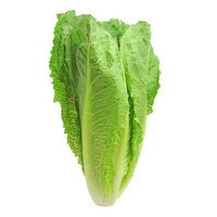  Organic Romaine Lettuce, 1 Each