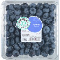 Naturipe Farmed Fresh Blueberries, 18 Ounce