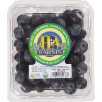 H&A Farms Blueberries, Organic, 1 Pint