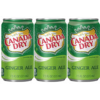 Canada Dry Ginger Ale, Caffeine Free, 6 Each