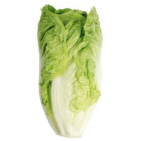  Romaine Lettuce, 1 Each