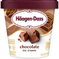 Haagen-Dazs Ice Cream, Chocolate, 14 Fluid ounce