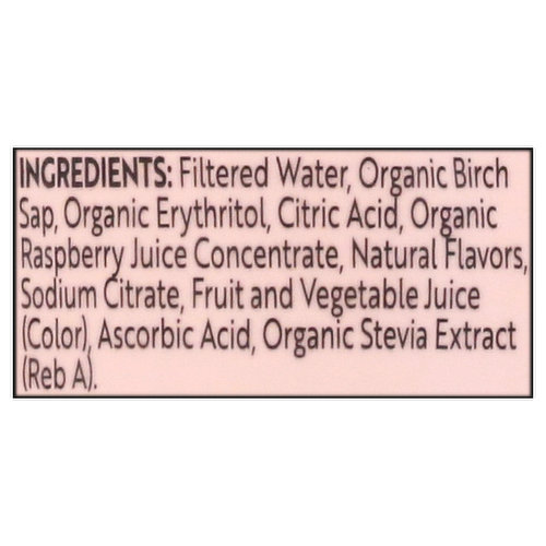 Treo Fruit & Birch Water Drink, Strawberry, USDA Organic, Non-GMO Project  Verified, Vegan, Gluten-Free, 10 Calories & 1g of Sugar Per Serving, 16 fl