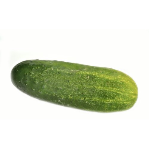 Cucumber Kirby, 1 Pound