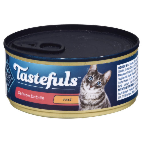 Blue Buffalo Food for Cats, Salmon Entree, Pate