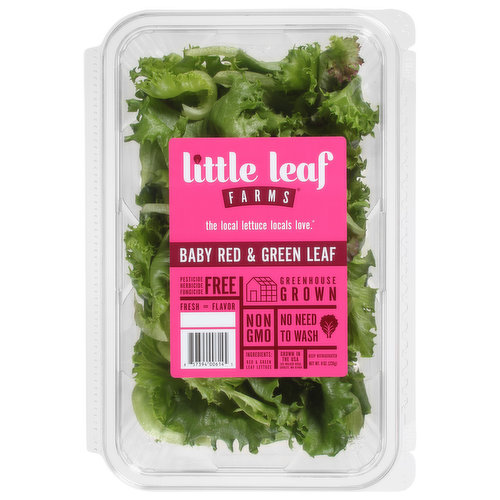 Little Leaf Farms Crispy Caesar Salad Kit