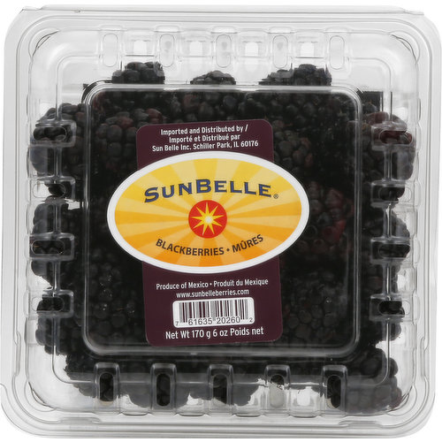 Sun Belle Blackberries