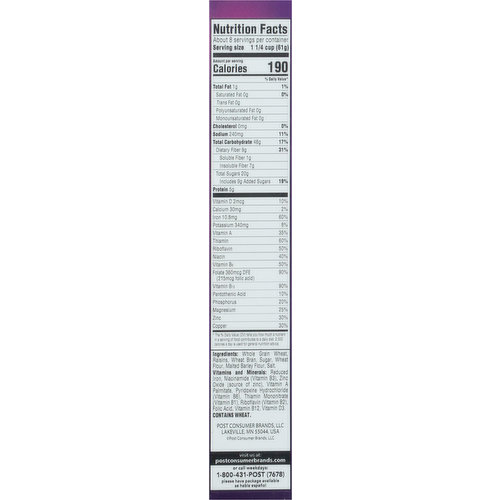 Raisin Bran Cereal