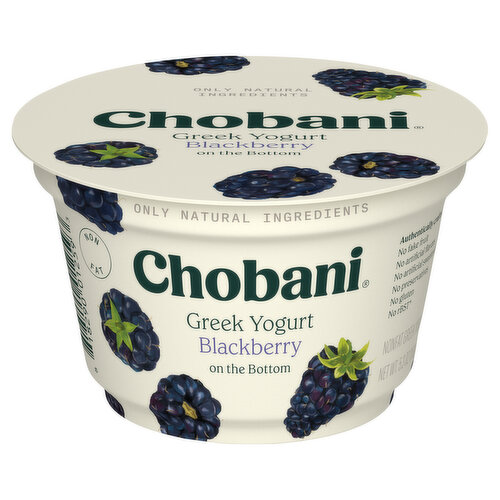 Chobani Yogurt, Nonfat, Greek, Blackberry on the Bottom
