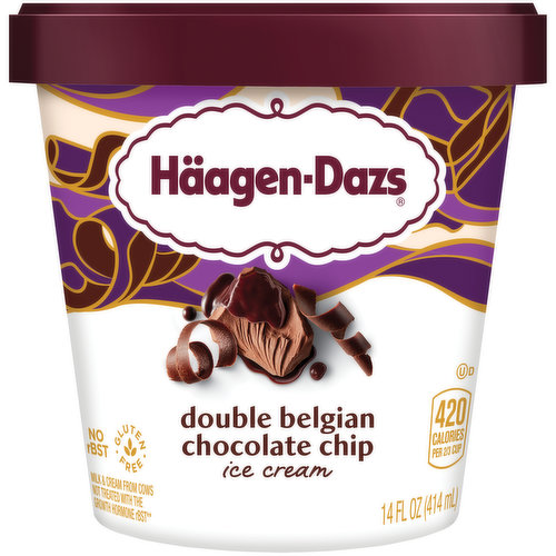 Haagen-Dazs Ice Cream, Belgian Chocolate