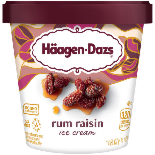 Haagen-Dazs Ice Cream, Rum Raisin