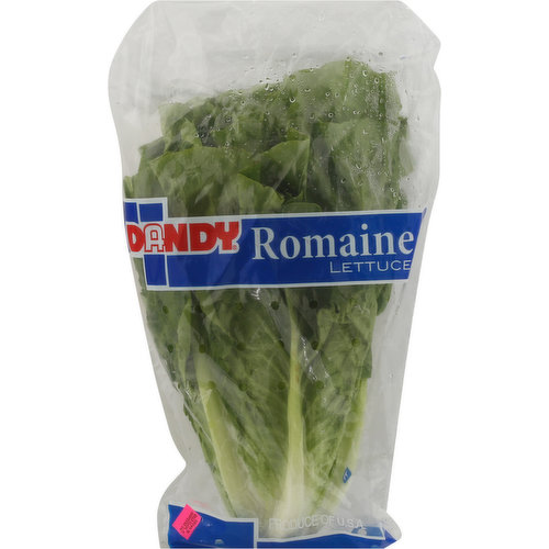 Dandy Romaine Lettuce