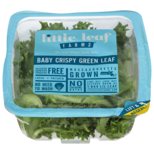 Little Leaf Farms Baby Crispy Green Leaf Lettuce - 8 oz pkg