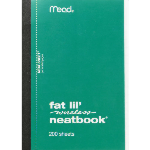Mead Fat Lil' Neatbook, Wireless