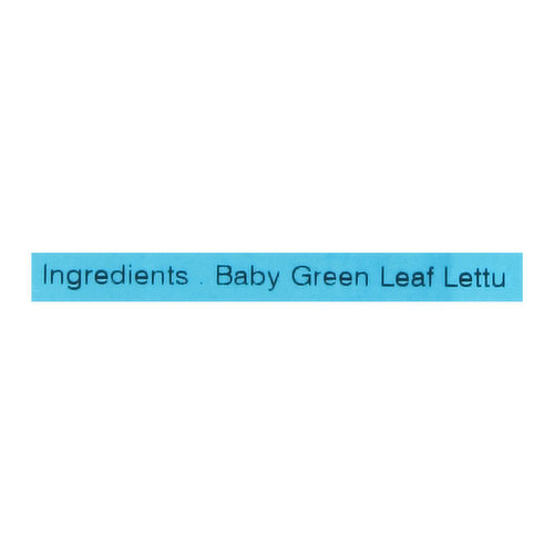 Little Leaf Farms Baby Crispy Green Leaf Lettuce - 8 oz pkg