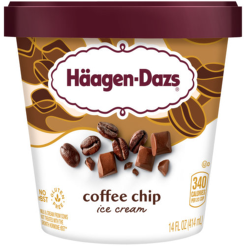 Haagen-Dazs Ice Cream, Coffee Chip