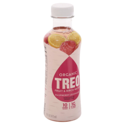 Treo Fruit & Birch Water Drink, Blueberry, Pack of 12