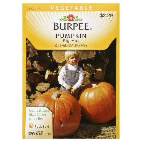 Burpee Seeds, Pumpkin, Big Max