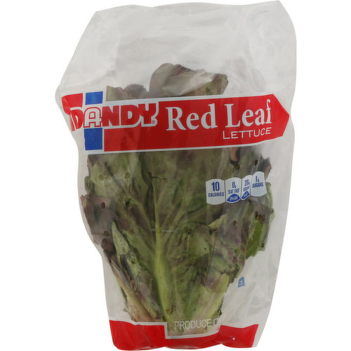 Dandy Lettuce, Red Leaf