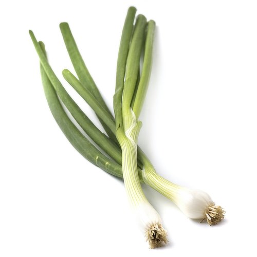  Scallions