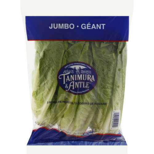 Tanimura & Antle Romaine Hearts, Jumbo