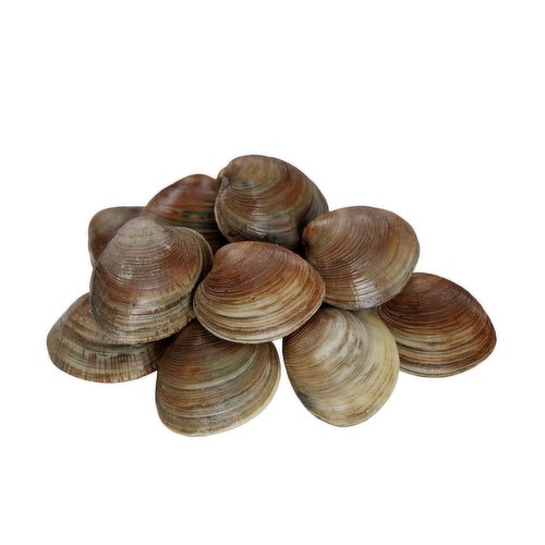  Little Neck Clams