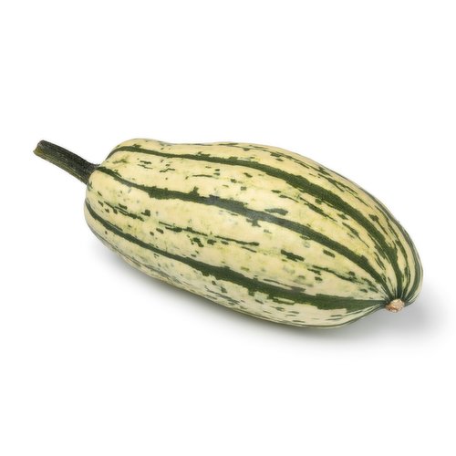  Delicata
