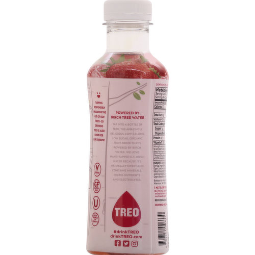 Treo Organic Strawberry Fruit & Birch Water 16 Oz, Flavored