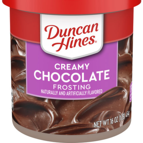 Duncan Hines Frosting, Chocolate, Creamy