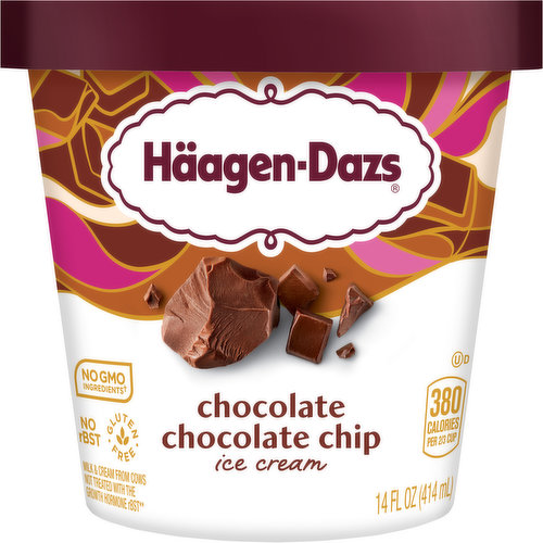 Haagen-Dazs Ice Cream, Chocolate Chocolate Chip