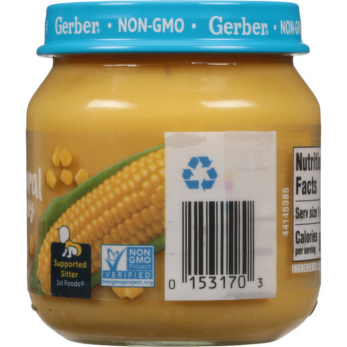 Gerber® 1st Foods® My 1st Solids Starter Kit Baby Food, 9.05 oz - Kroger