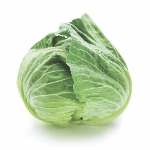 Cabbage Savoy