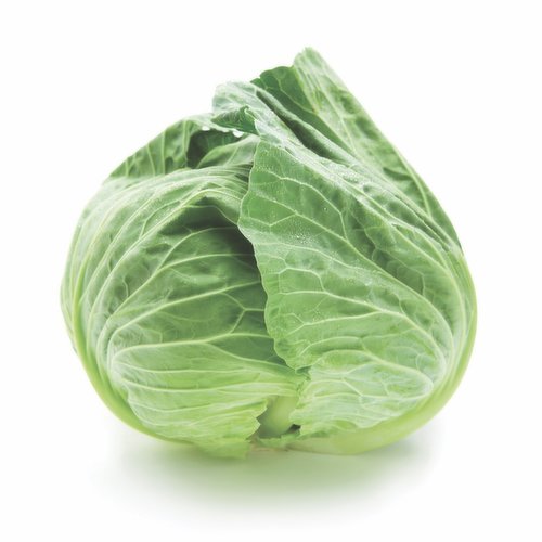 Cabbage Savoy