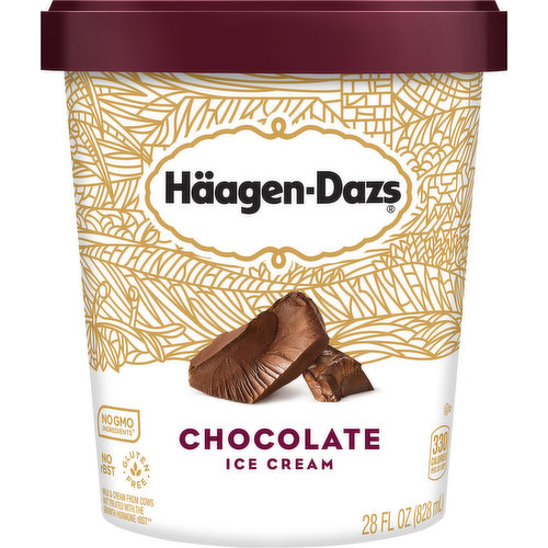 Haagen-Dazs Ice Cream, Chocolate