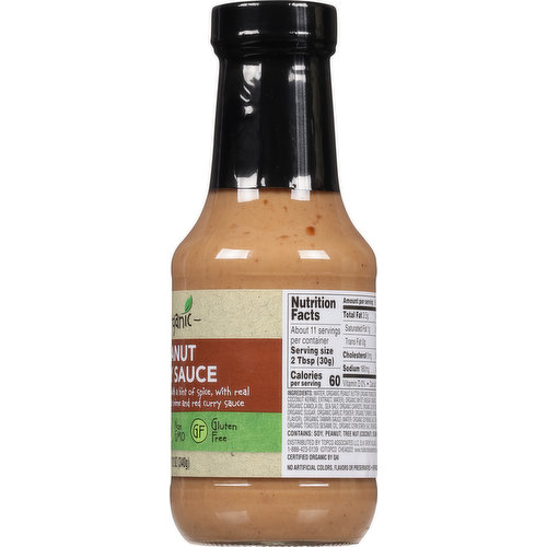 Full Circle Market Sauce, Peanut Satay
