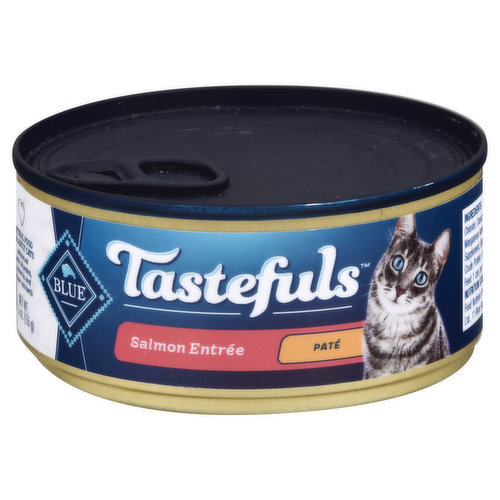 Blue Buffalo Food for Cats, Salmon Entree, Pate