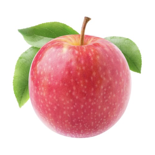 Apples Pink Lady, Large