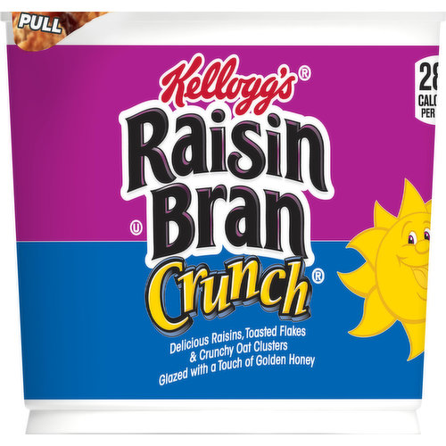 Raisin Bran Cereal