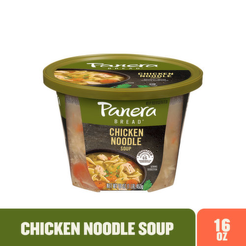 Panera Bread Chicken Noodle Soup, 10 Ounce -- 8 per Case 