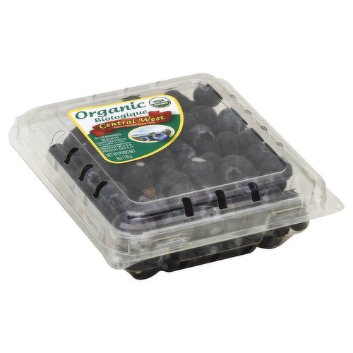 Central West Blueberries, Organic