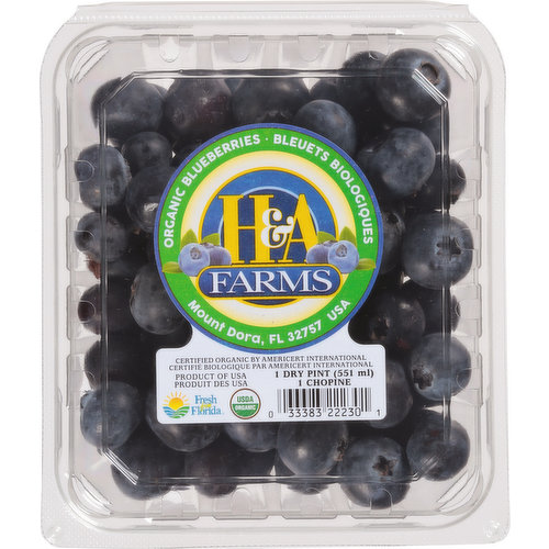 H&A Farms Blueberries, Organic