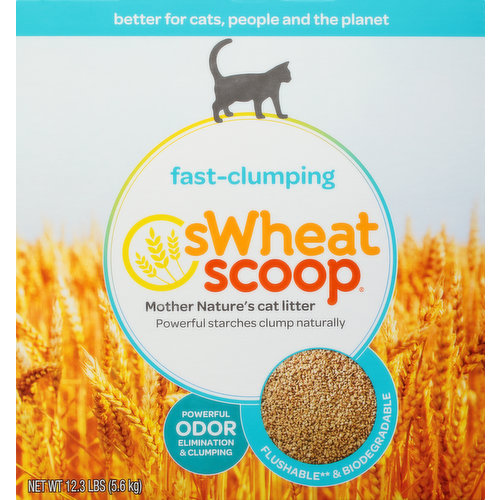 sWheat Scoop Cat Litter, Fast-Clumping