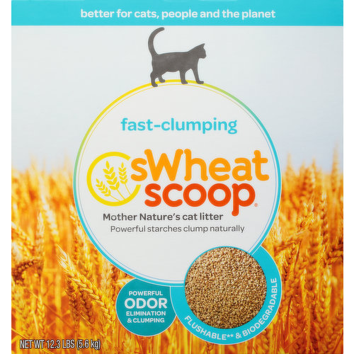 sWheat Scoop Cat Litter, FastClumping