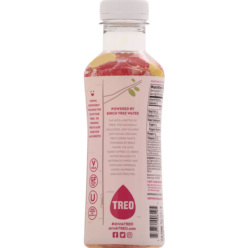 Strawberry - Organic Birch Water Drink – Drink Treo