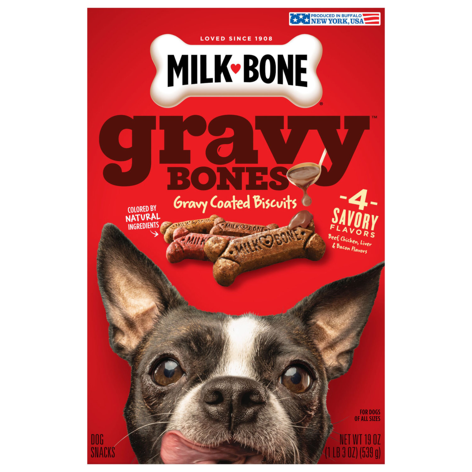 Gravy dog clearance