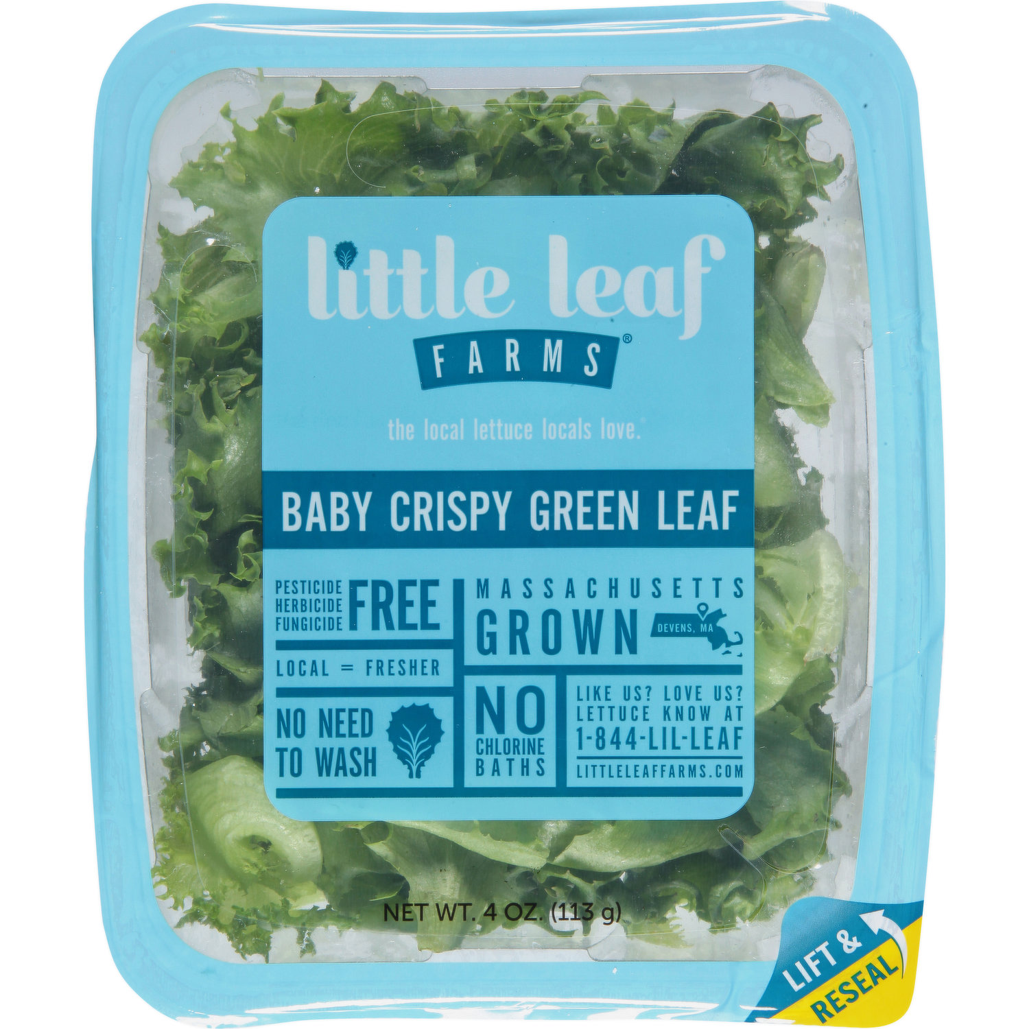 Little Leaf Farms Baby Spring Mix Lettuce Blend - 4oz